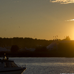 Ruisrock 2015 (280/280)